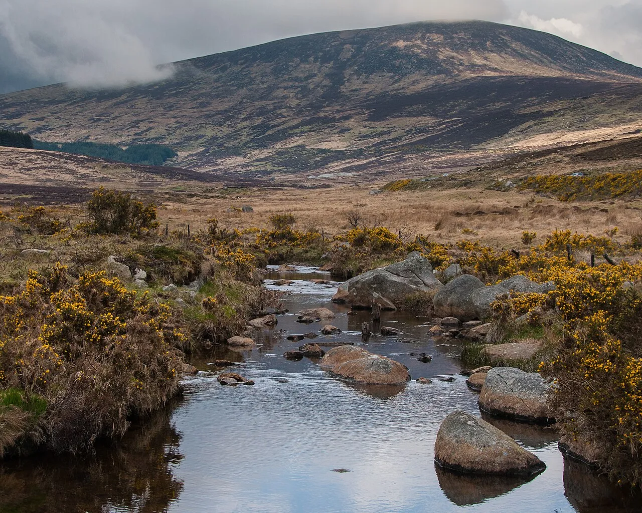 Wicklow Mountains